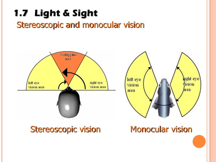 monocular vision gallery monocular vision gallery